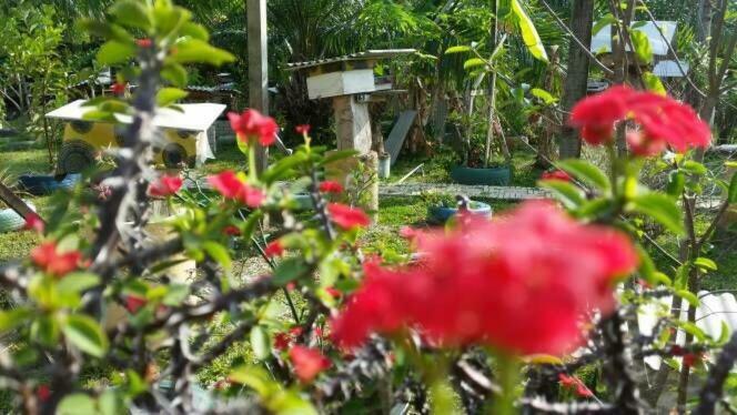 Trigona Chalet Hotel มารัง ภายนอก รูปภาพ
